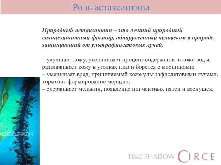 Природный астаксантин – это лучший природный солнцезащитный фактор, обнаруженный человеком в природе,