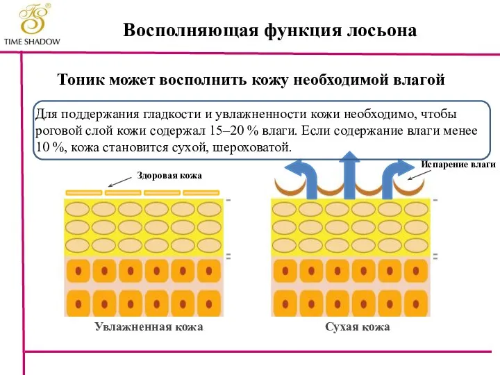 Восполняющая функция лосьона Для поддержания гладкости и увлажненности кожи необходимо, чтобы роговой