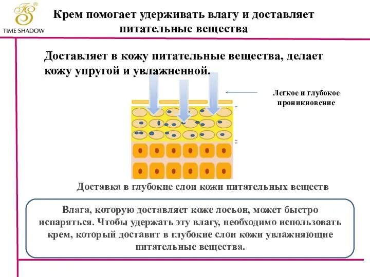 Крем помогает удерживать влагу и доставляет питательные вещества Доставляет в кожу питательные