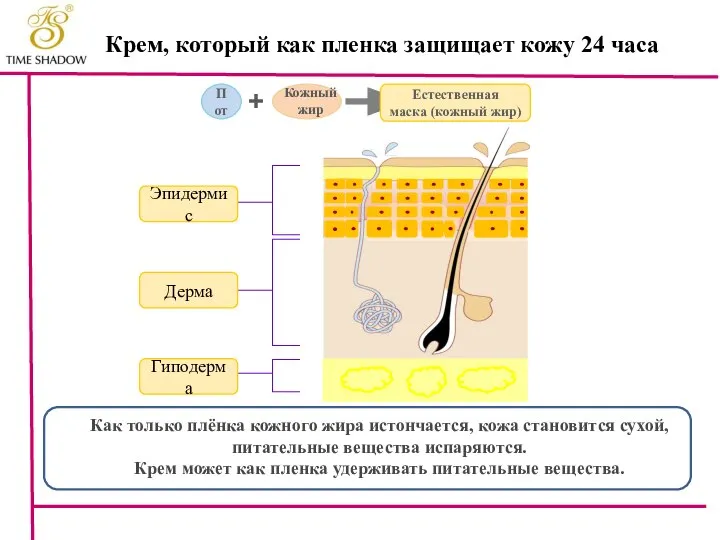 Крем, который как пленка защищает кожу 24 часа Как только плёнка кожного