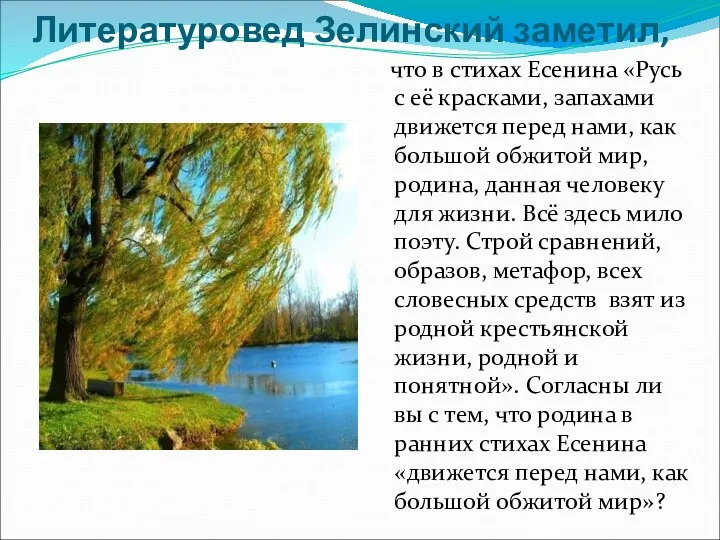 Литературовед Зелинский заметил, что в стихах Есенина «Русь с её красками, запахами