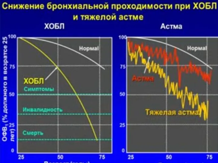 * СГМУ, кафедра Поликлиническая терапия