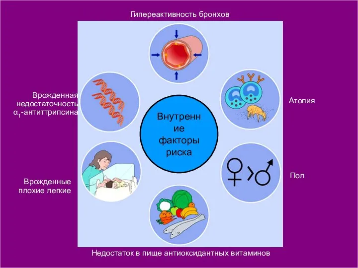 Врожденная недостаточность α1-антиттрипсина Атопия Врожденные плохие легкие Пол Недостаток в пище антиоксидантных