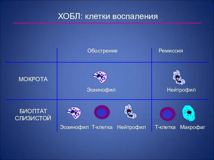 ХОБЛ: клетки воспаления МОКРОТА Обострение Ремиссия Эозинофил Нейтрофил Эозинофил T-клетка Нейтрофил T-клетка Макрофаг БИОПТАТ СЛИЗИСТОЙ