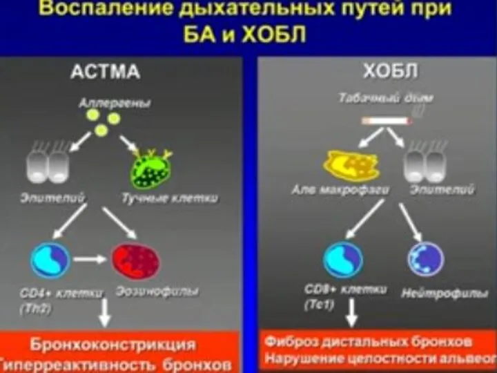 * СГМУ, кафедра Поликлиническая терапия