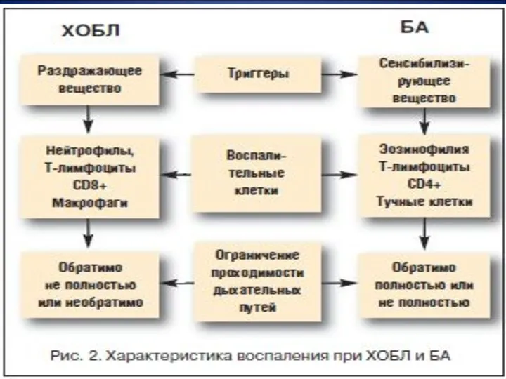 * СГМУ, кафедра Поликлиническая терапия