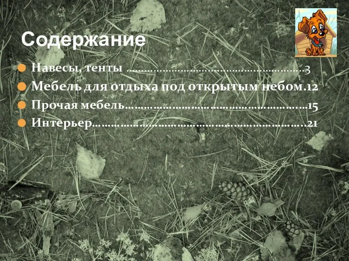 Содержание Навесы, тенты …………………………………………………..3 Мебель для отдыха под открытым небом.12 Прочая мебель……………………………………………….…15 Интерьер…………………………………………………………..21