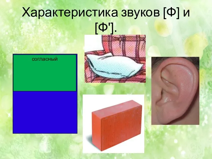 Характеристика звуков [Ф] и [Ф']. согласный