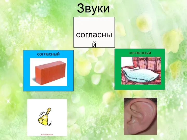 Звуки согласный согласный согласный