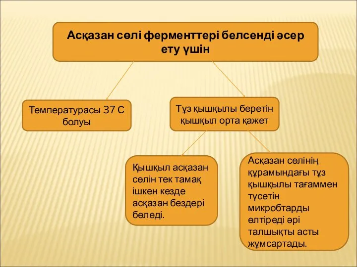 Асқазан сөлі ферменттері белсенді әсер ету үшін Температурасы 37 С болуы Тұз