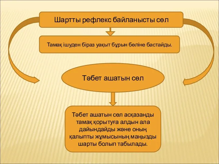 Шартты рефлекс байланысты сөл Тамақ ішуден біраз уақыт бұрын бөліне бастайды. Тәбет