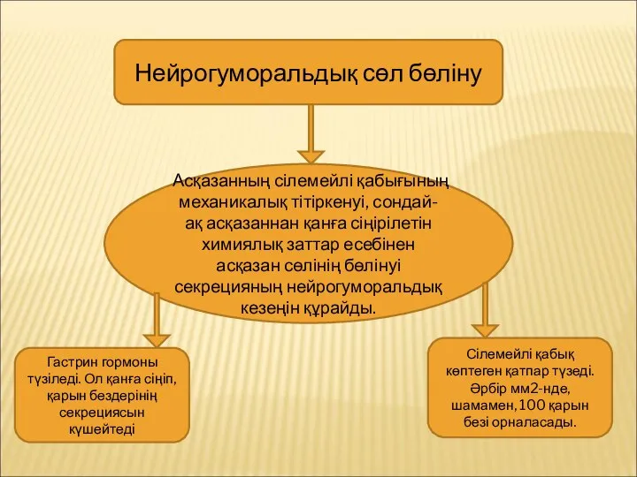 Нейрогуморальдық сөл бөліну Асқазанның сілемейлі қабығының механикалық тітіркенуі, сондай-ақ асқазаннан қанға сіңірілетін