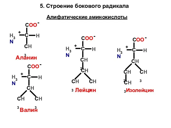 Алифатические аминокислоты CH3 Аланин СН СН3 СН3 Валин СН2 СН СН3 СН3