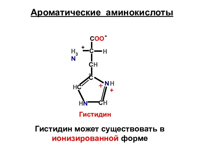 Ароматические аминокислоты СН2 C HC HN CH N Гистидин Гистидин может существовать