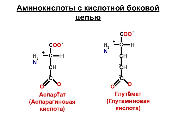 СН2 Аминокислоты с кислотной боковой цепью С O O- Аспартат (Аспарагиновая кислота)