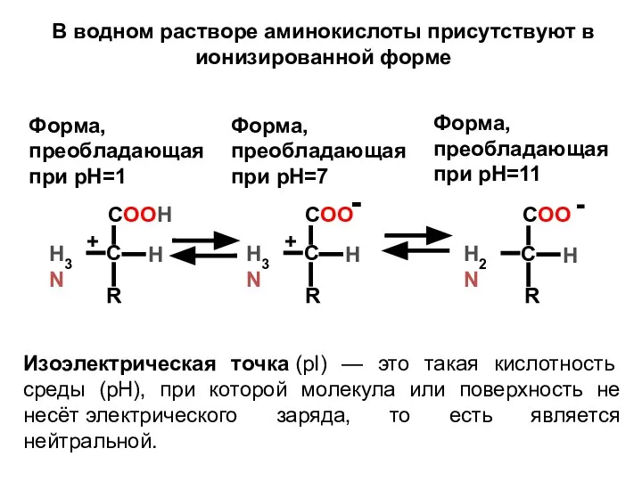 R R R Форма, преобладающая при pH=1 Форма, преобладающая при pH=7 Форма,