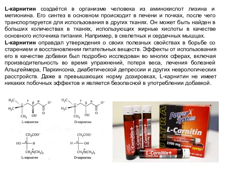 L-карнитин создаётся в организме человека из аминокислот лизина и метионина. Его синтез