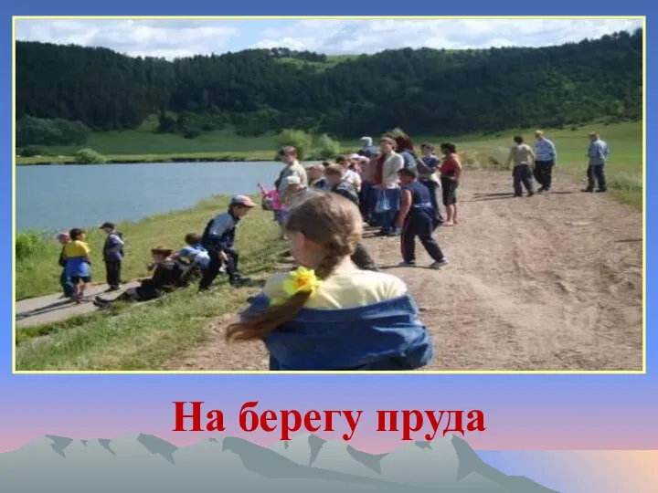 На берегу пруда