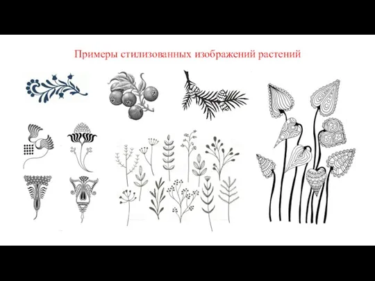 Примеры стилизованных изображений растений