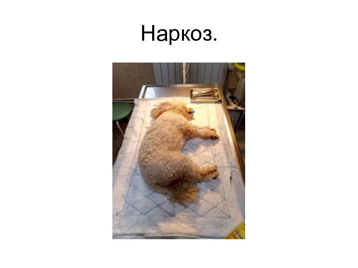 Наркоз.