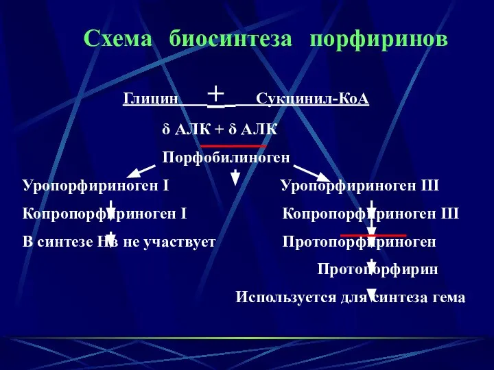 Схема биосинтеза порфиринов Глицин + Сукцинил-КоА δ АЛК + δ АЛК Порфобилиноген