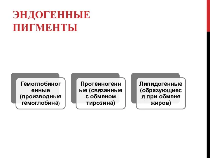 ЭНДОГЕННЫЕ ПИГМЕНТЫ