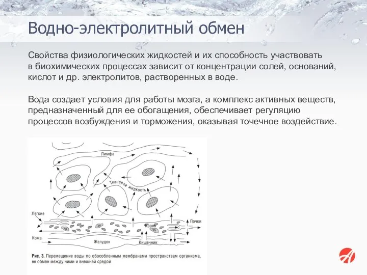 Свойства физиологических жидкостей и их способность участвовать в биохимических процессах зависит от