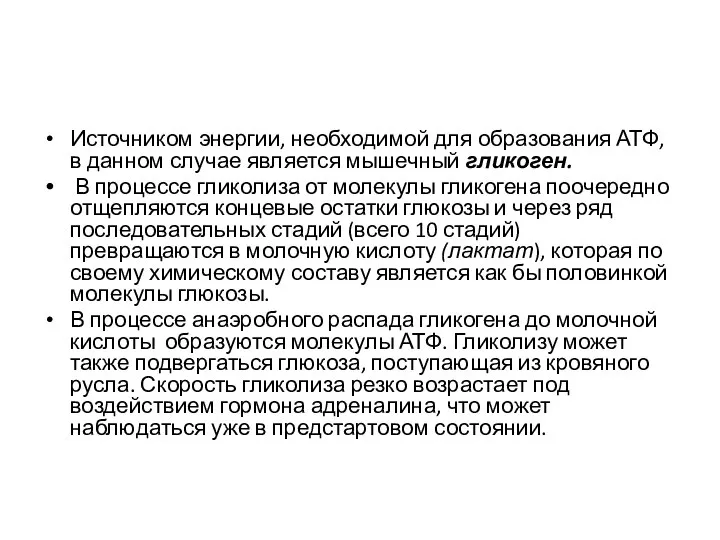 Источником энергии, необходимой для образования АТФ, в данном случае является мышечный гликоген.