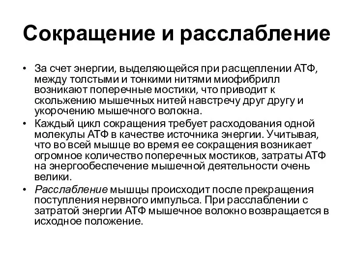 Сокращение и расслабление За счет энергии, выделяющейся при расщеплении АТФ, между толстыми