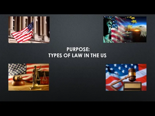 PURPOSE: TYPES OF LAW IN THE US