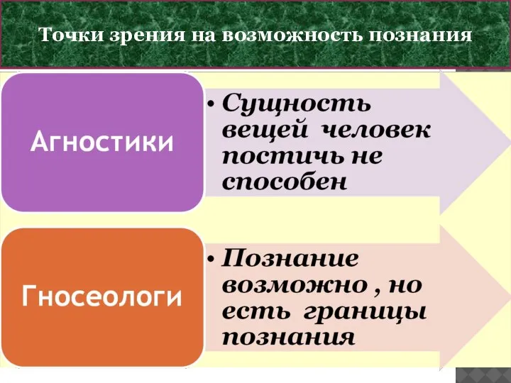 ПОЗНАВАЕМ ЛИ МИР ? Точки зрения на возможность познания