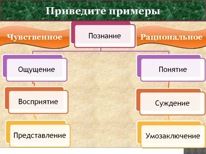 ФОРМЫ ПОЗНАНИЯ Приведите примеры Чувственное Рациональное