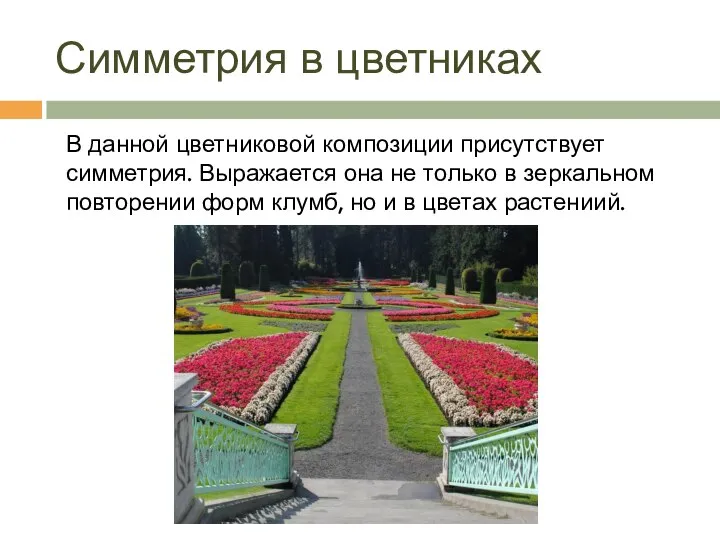 Симметрия в цветниках В данной цветниковой композиции присутствует симметрия. Выражается она не