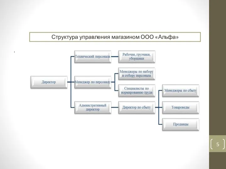 . Структура управления магазином ООО «Альфа»