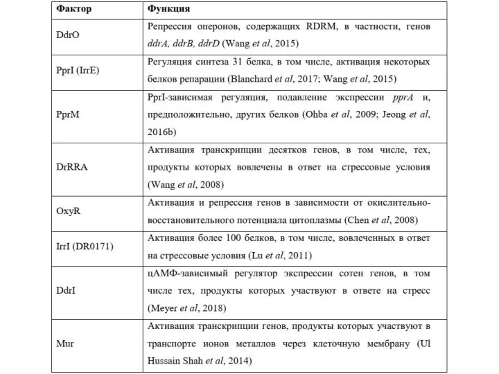 Стрессоустойчивость D. radiodurans