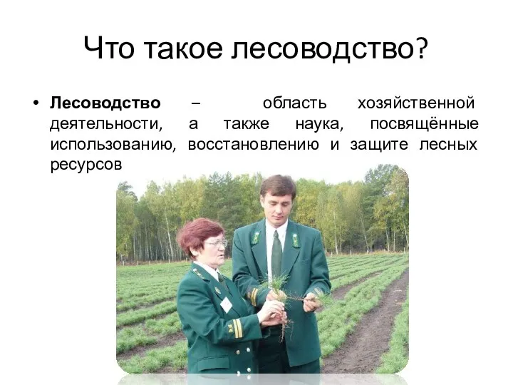 Что такое лесоводство? Лесоводство – область хозяйственной деятельности, а также наука, посвящённые