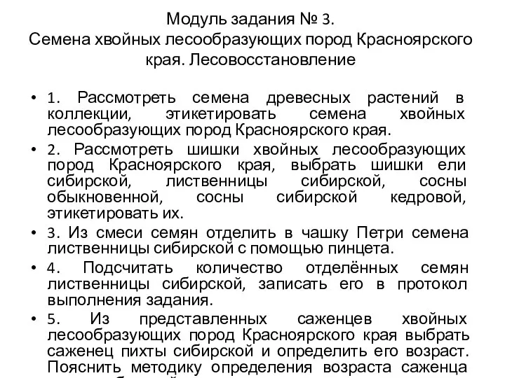 Модуль задания № 3. Семена хвойных лесообразующих пород Красноярского края. Лесовосстановление 1.