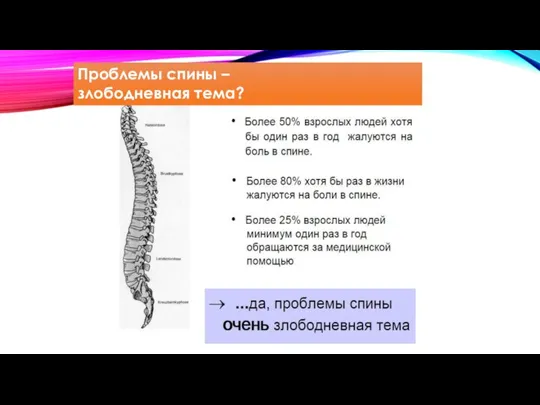 Проблемы спины – злободневная тема?