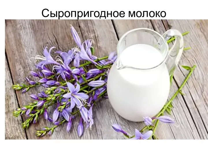 Сыропригодное молоко