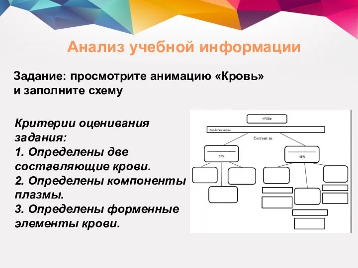 Анализ учебной информации Задание: просмотрите анимацию «Кровь» и заполните схему Критерии оценивания