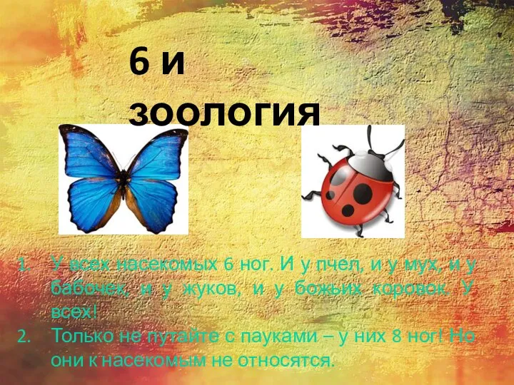 У всех насекомых 6 ног. И у пчел, и у мух, и