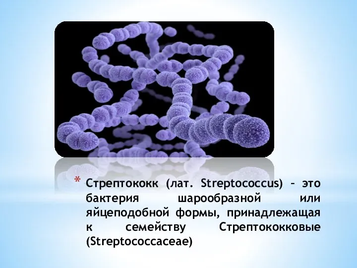 Стрептококк (лат. Streptococcus) – это бактерия шарообразной или яйцеподобной формы, принадлежащая к семейству Стрептококковые (Streptococcaceae)