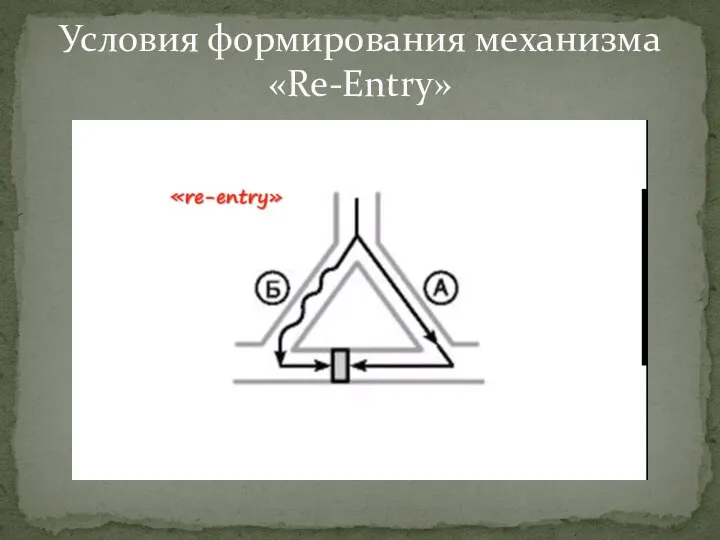 Условия формирования механизма «Re-Entry»