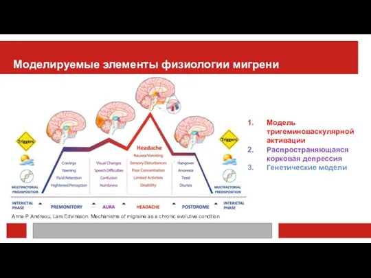 Моделируемые элементы физиологии мигрени Anna P. Andreou, Lars Edvinsson. Mechanisms of migraine