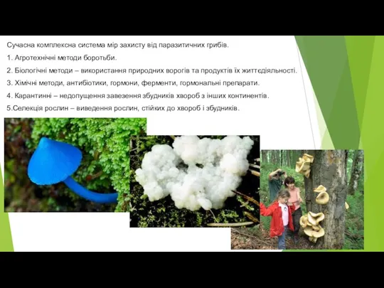 Сучасна комплексна система мір захисту від паразитичних грибів. 1. Агротехнічні методи боротьби.