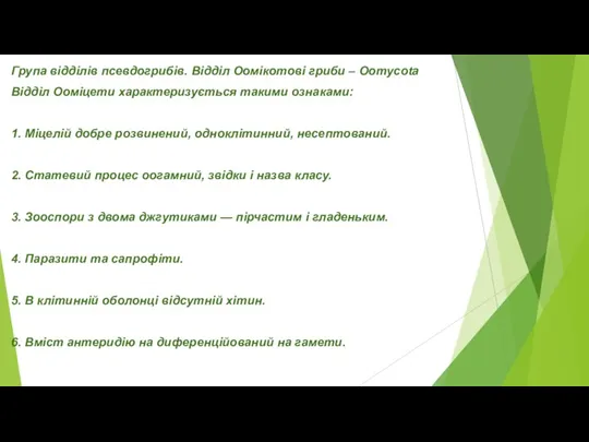 Група відділів псевдогрибів. Відділ Оомікотові гриби – Oomycota Відділ Ооміцети характеризується такими