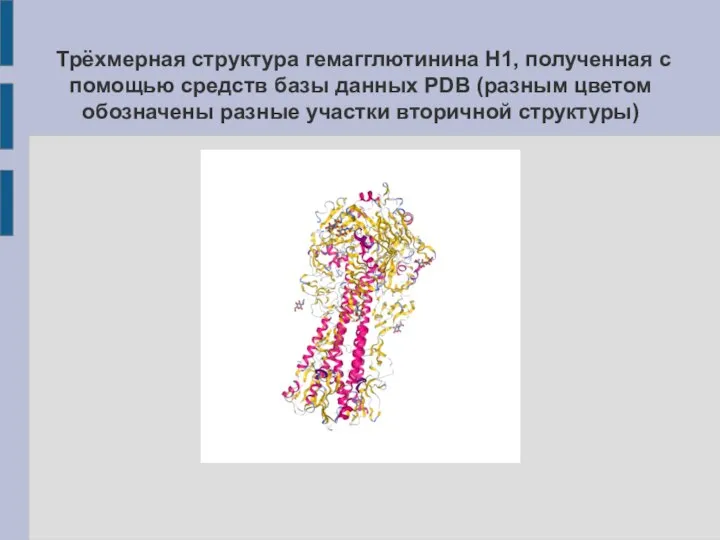 Трёхмерная структура гемагглютинина H1, полученная с помощью средств базы данных PDB (разным