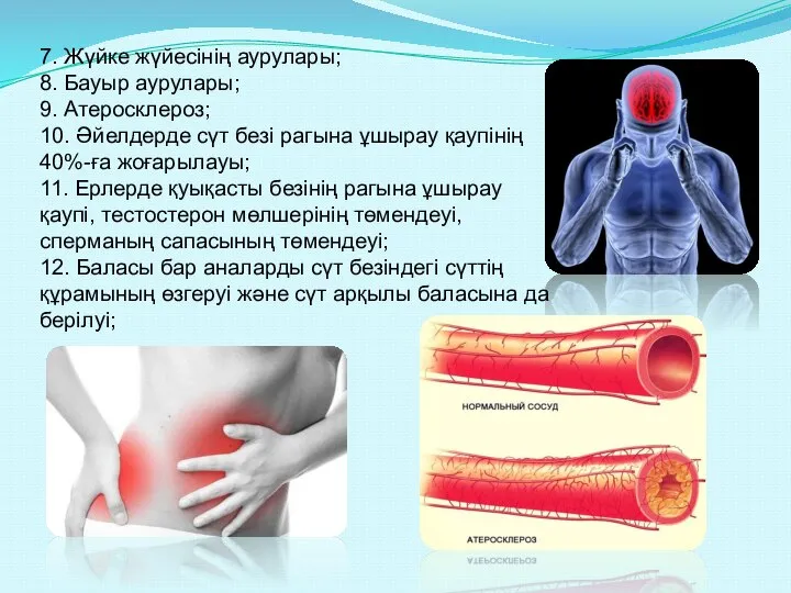 7. Жүйке жүйесінің аурулары; 8. Бауыр аурулары; 9. Атеросклероз; 10. Әйелдерде сүт