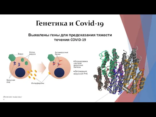 Генетика и Covid-19 Выявлены гены для предсказания тяжести течения COVID-19 Источник: nauka.tass.ru