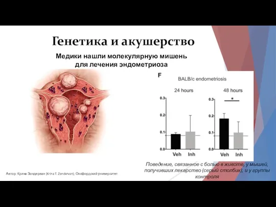 Генетика и акушерство Медики нашли молекулярную мишень для лечения эндометриоза Поведение, связанное